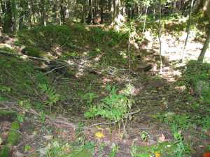 There was a tavern here once