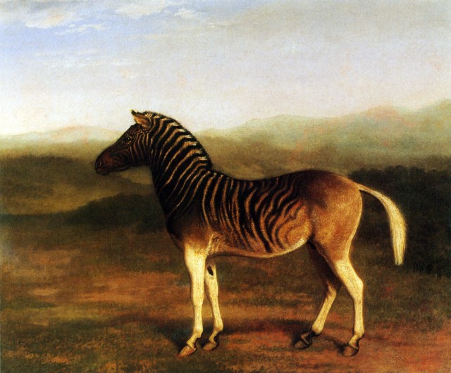 Quagga painted by Jacques-Laurent Agasse (1767 - 1849)